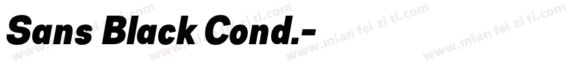 Sans Black Cond.字体转换